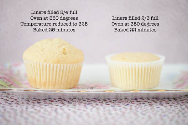 Side by side comparison of the results of baking flat versus puffy dome-topped cupcakes.