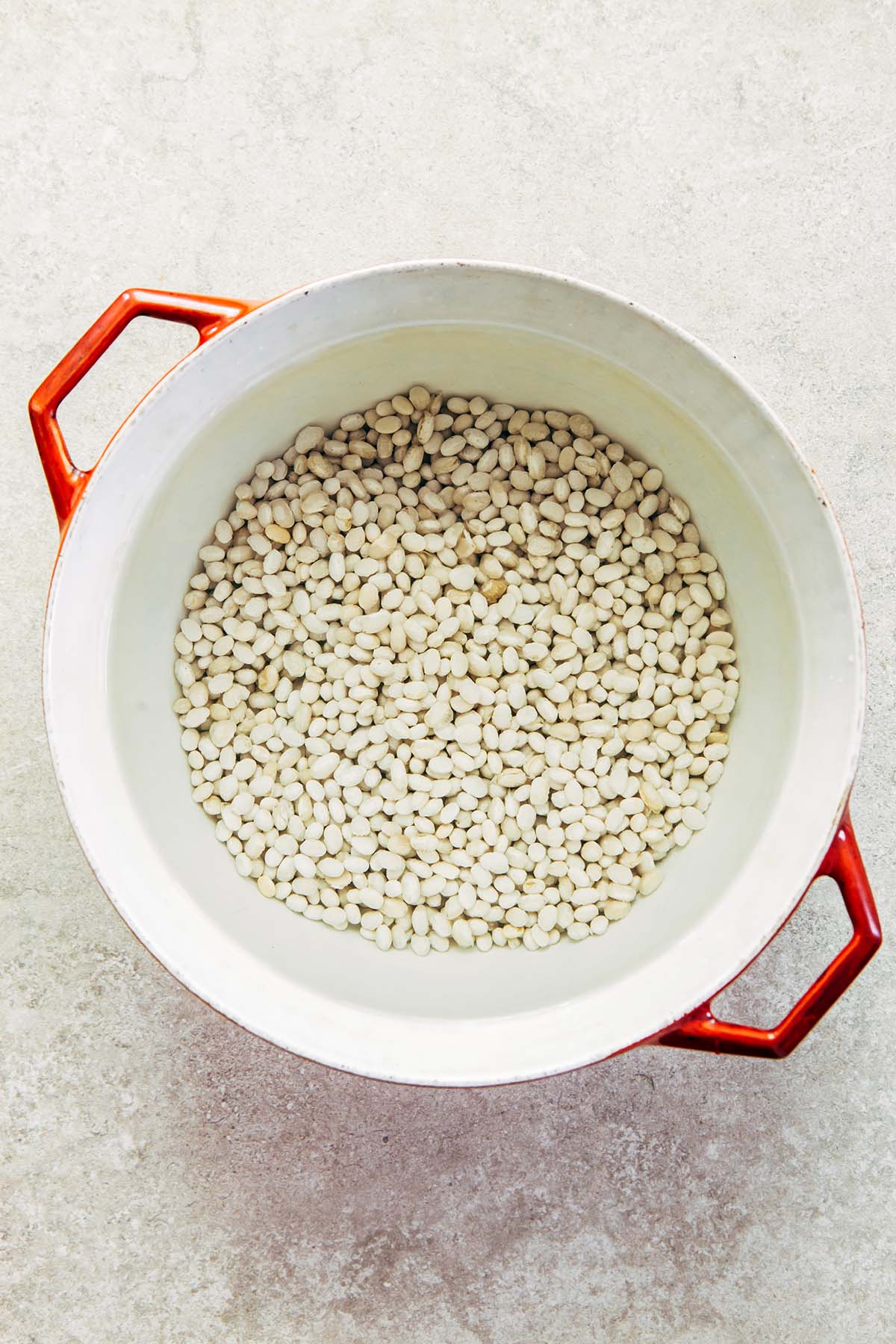 Dried navy beans covered with water and soaking in a pot.