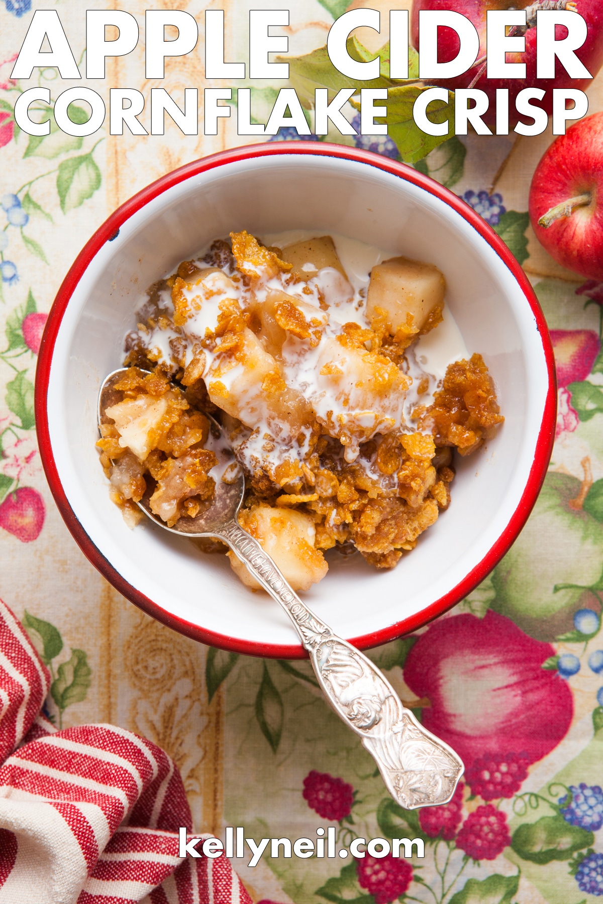 Dutch Oven Apple Crisp Kelly Neil