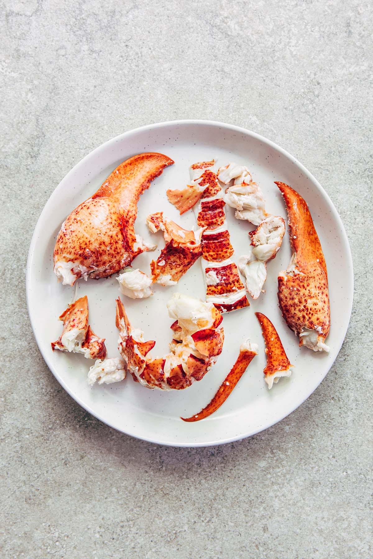 The cooked meat of a whole lobster removed from the shell, arranged on a white plate on a stone surface.