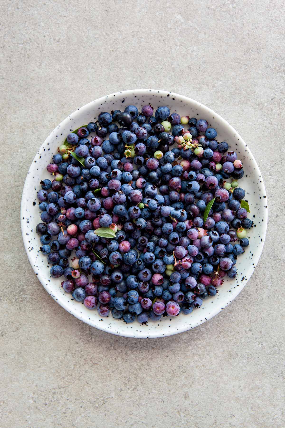 A small white speckled plate filled with wild blueberries on a stone surface.