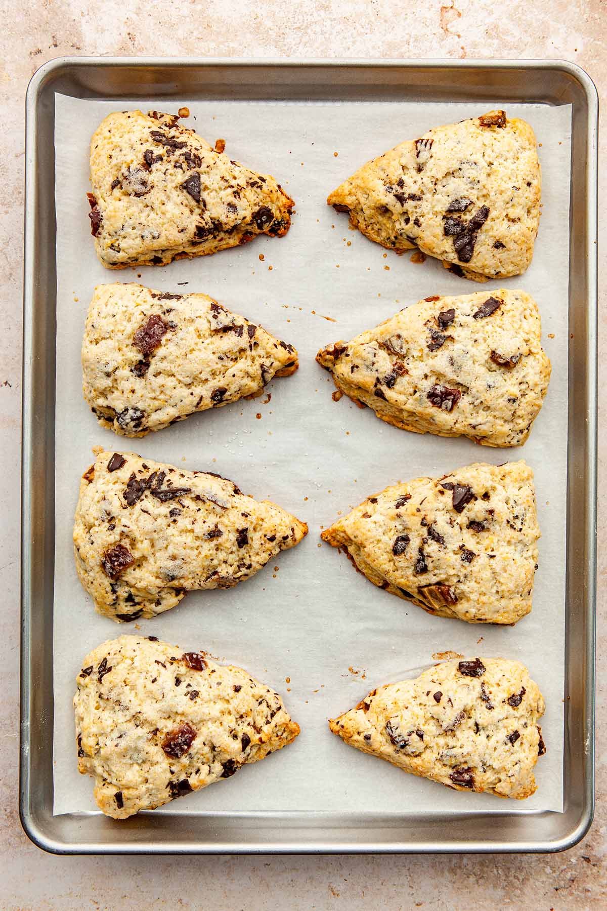 Eight baked date and orange scones on a baking sheet lined with parchment paper.