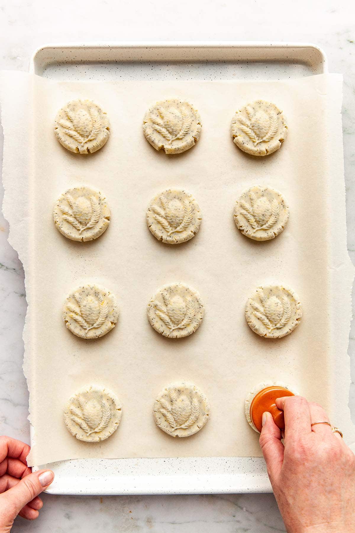 A hand stamping a tray of unbaked cookies with a ceramic stamp.