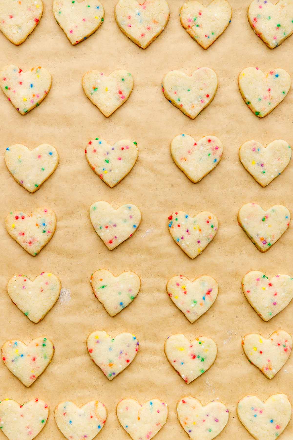 Close up of a tray of baked sugar cookies with sprinkles.