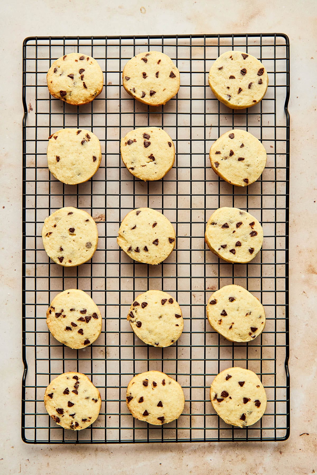 A black rectangle wire cooling rack topped with baked chocolate chip sugar cookies.