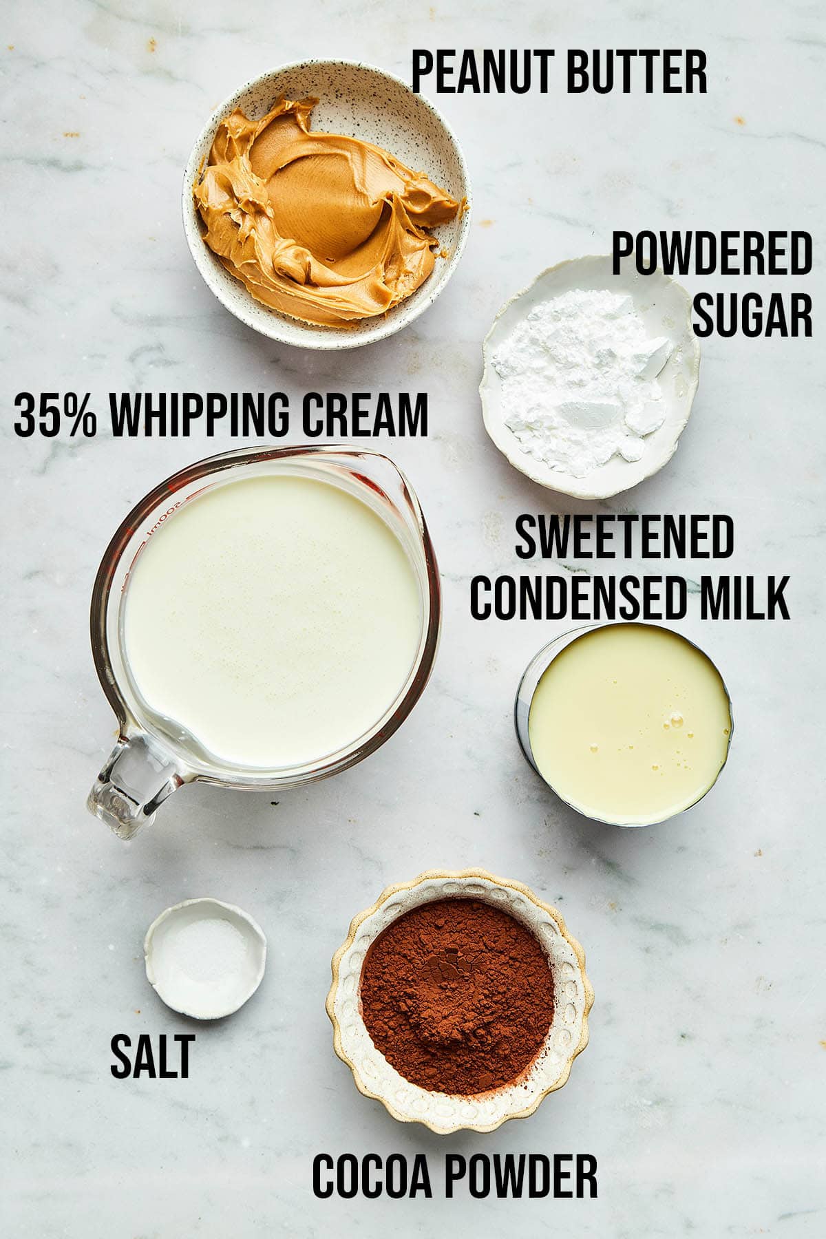 Ingredients to make chocolate peanut butter ice cream.