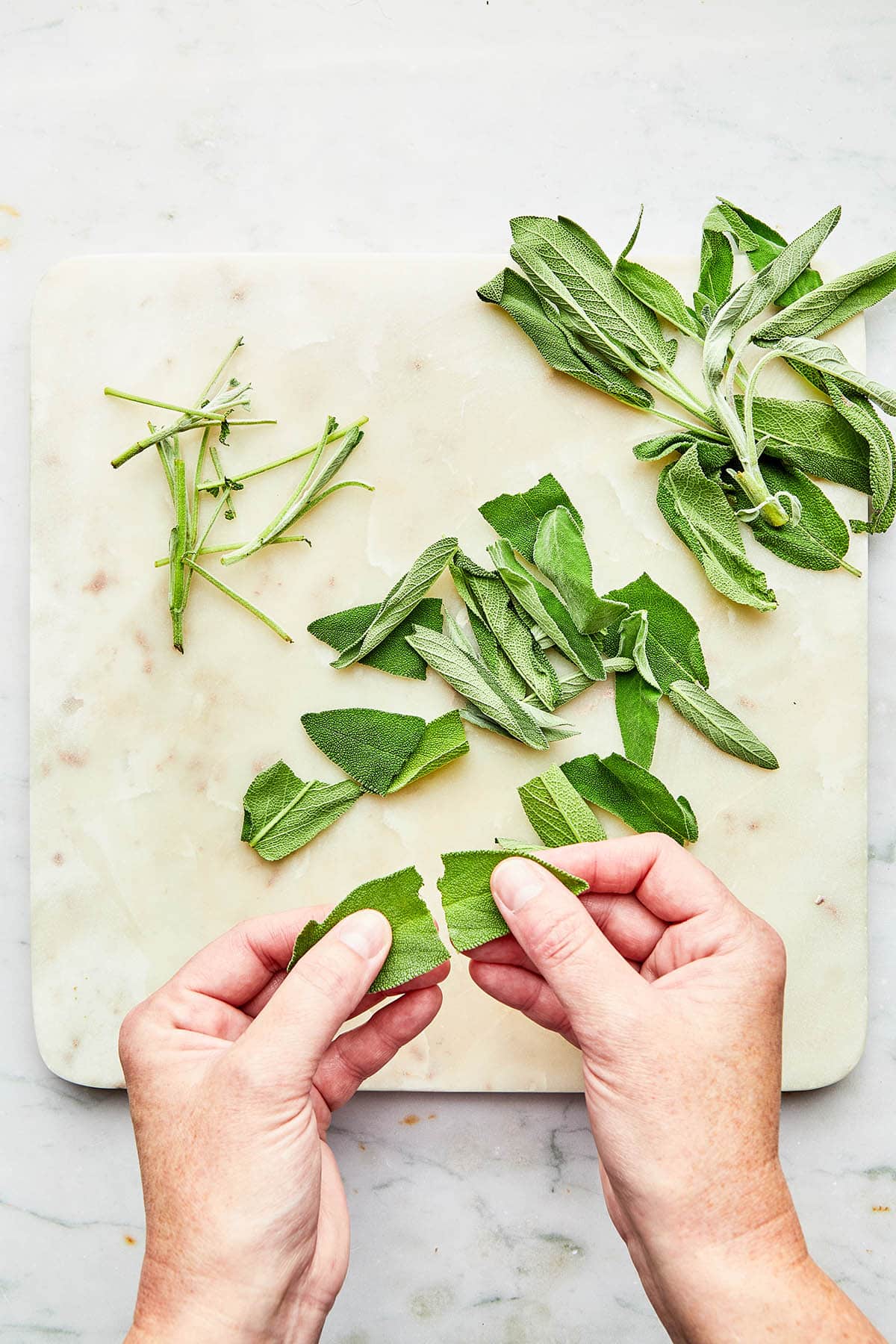 Hands tearing a large sage leaf in half with more fresh sage on the marble cutting board below.