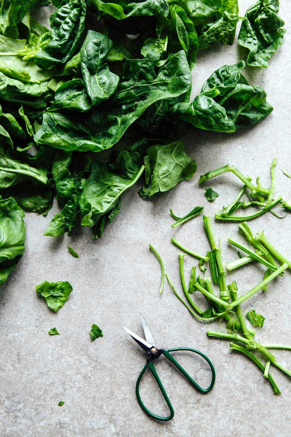 Spinach leaves with the cut off stems nearby and a small pair of green-handled scissors.