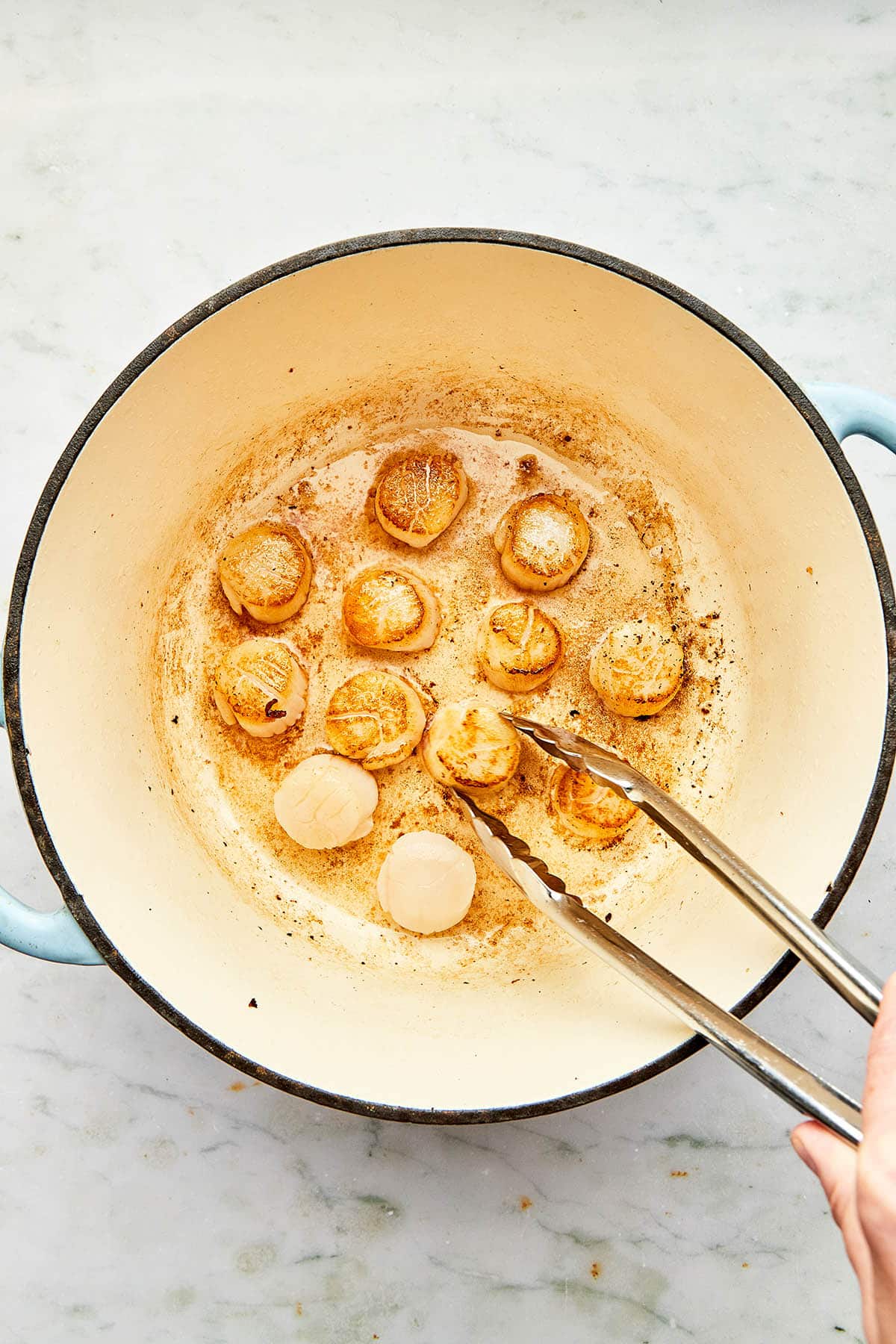 A hand holding tongs to flip scallops searing in bacon fat inside a cast iron pot.