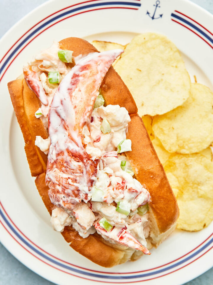 A Nova Scotia lobster roll on a plate with plain potato chips.